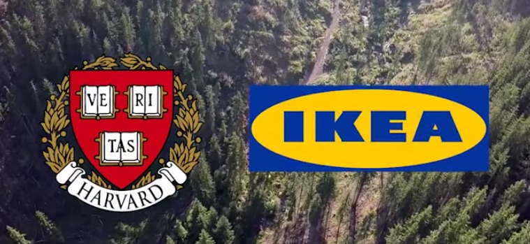 IKEA și Harvard au făcut afaceri toxice în România