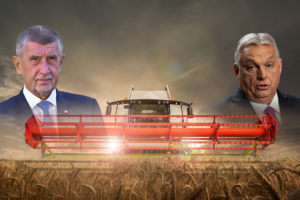 PROFIT DE PE URMA RĂZBOIULUI: apropiații premierilor Orbán și Babiš, comerț în România cu cereale din Ucraina